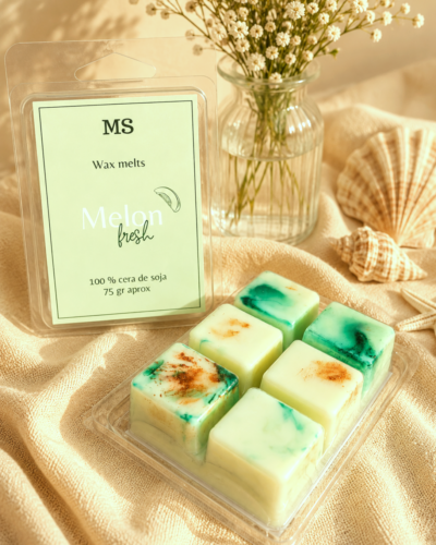 wax melts de melon con fondo neutro